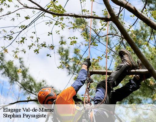 Elagage 94 Val-de-Marne Stephan Paysagiste