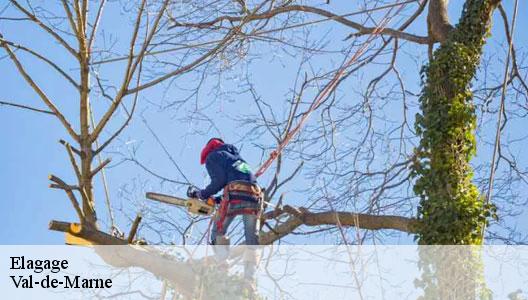 Elagage Val-de-Marne