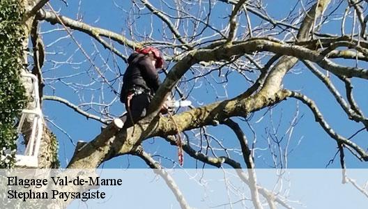 Elagage Val-de-Marne
