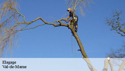 Elagage Val-de-Marne