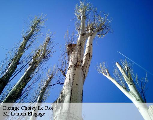 Etetage  choisy-le-roi-94600 M. Lamon Elagage