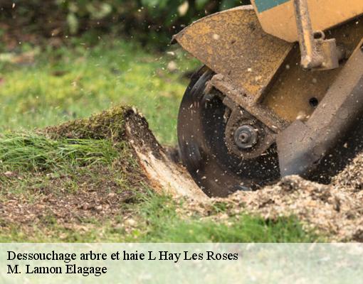 Dessouchage arbre et haie  l-hay-les-roses-94240 M. Lamon Elagage