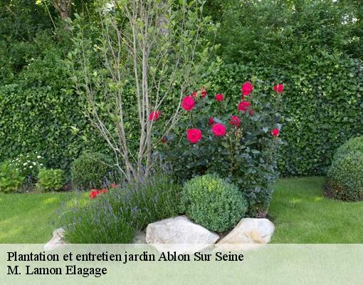 Plantation et entretien jardin  94480