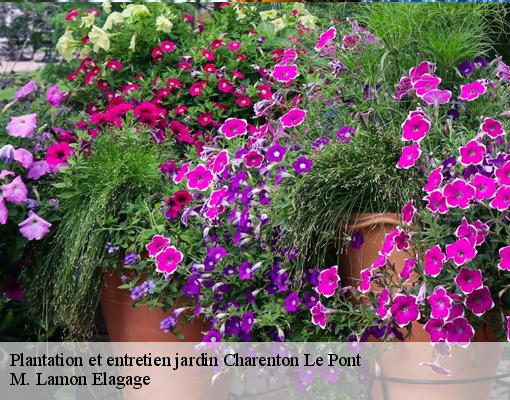 Plantation et entretien jardin  charenton-le-pont-94220 M. Lamon Elagage