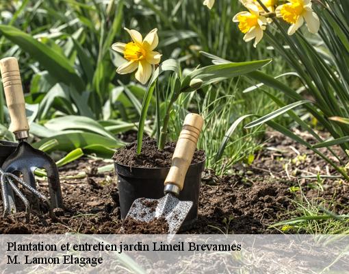 Plantation et entretien jardin