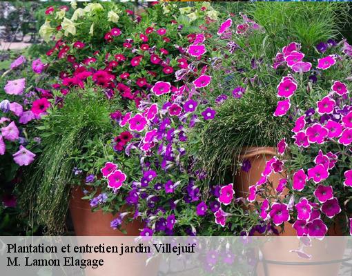 Plantation et entretien jardin  villejuif-94800 M. Lamon Elagage