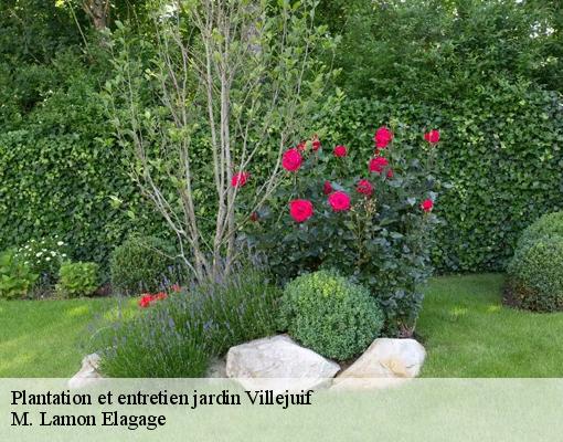 Plantation et entretien jardin  94800