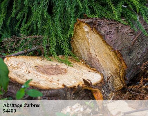 Abattage d'arbres  94480