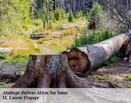 Abattage d'arbres  94480