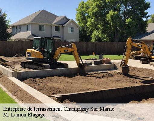 Entreprise de terrassement  champigny-sur-marne-94500 M. Lamon Elagage